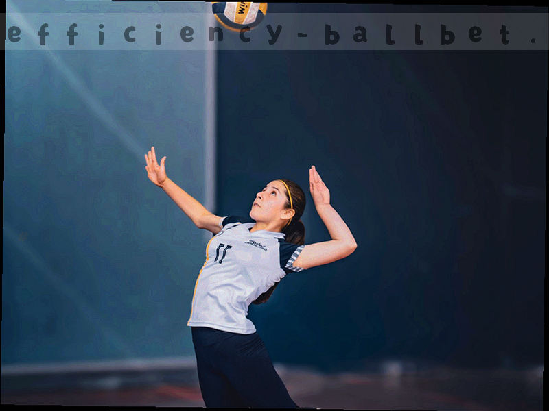 贝博BALLBET版本更新对照图